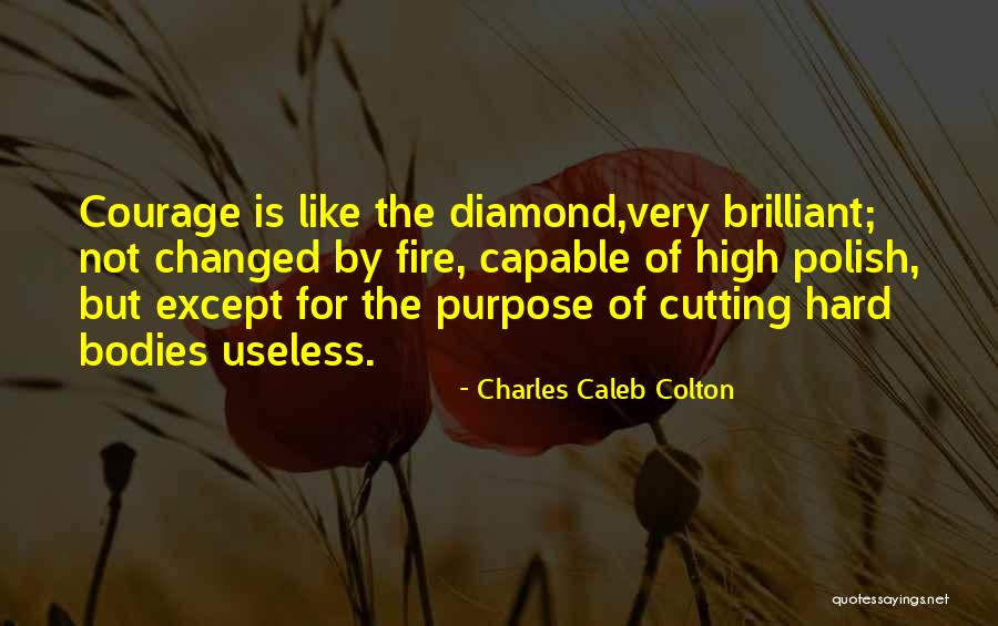 Winnie The Pooh Fluff Quotes By Charles Caleb Colton Winnie The Pooh Fluff Quotes By Charles Caleb Colton