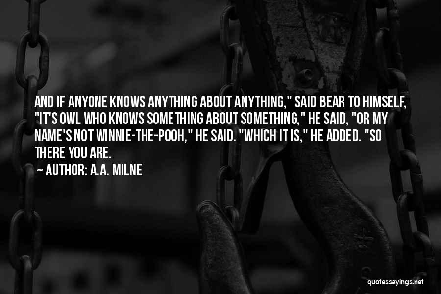 Winnie The Pooh Quotes By A.A. Milne