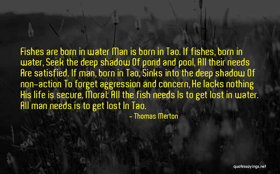 Winnifred Cutler Quotes By Thomas Merton Winnifred Cutler Quotes By Thomas Merton