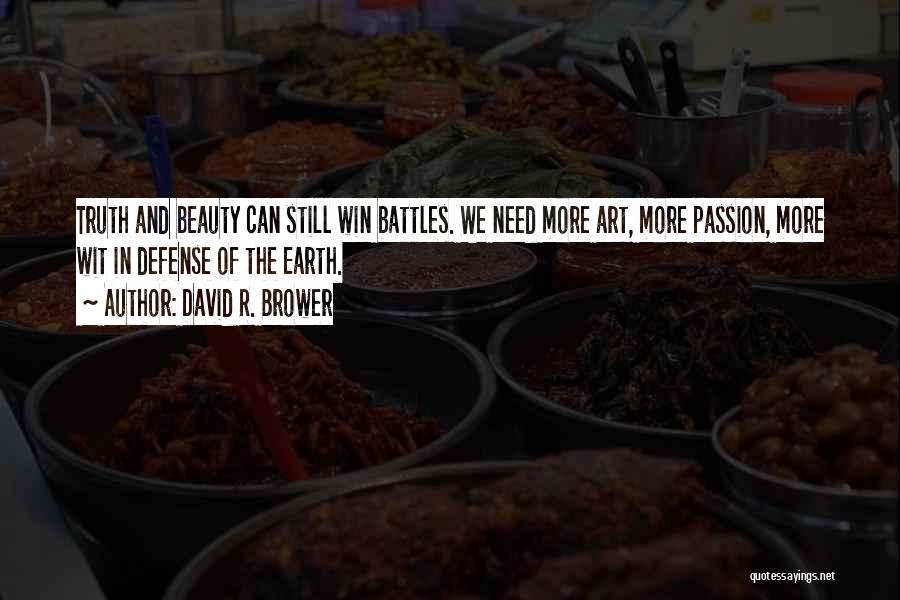 Winning Battles Quotes By David R. Brower