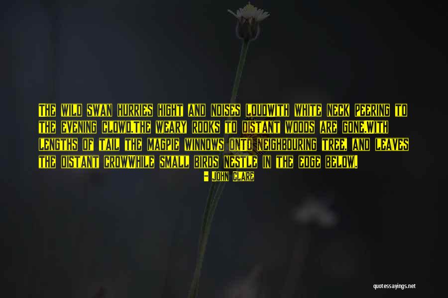 Winnows Quotes By John Clare