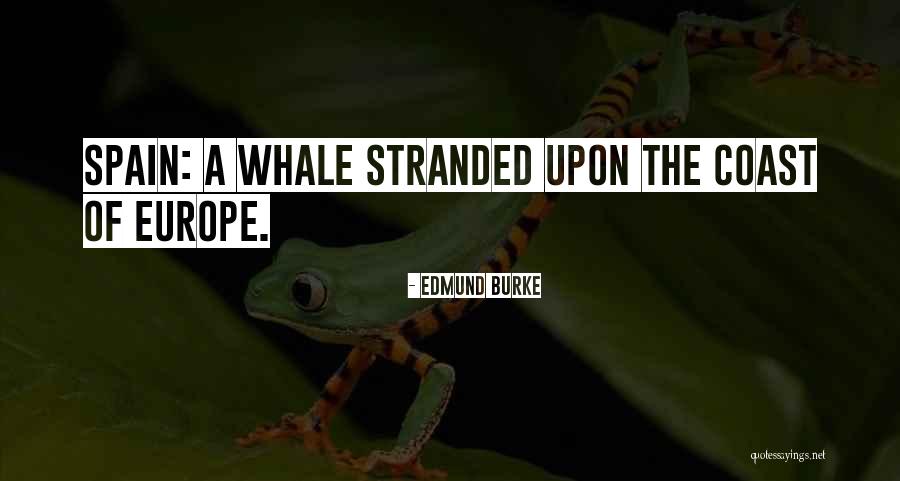 Winogrand Photography Quotes By Edmund Burke Winogrand Photography Quotes By Edmund Burke