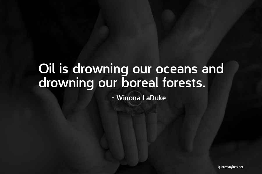 Winona LaDuke Quotes 187098 Winona LaDuke Quotes 187098