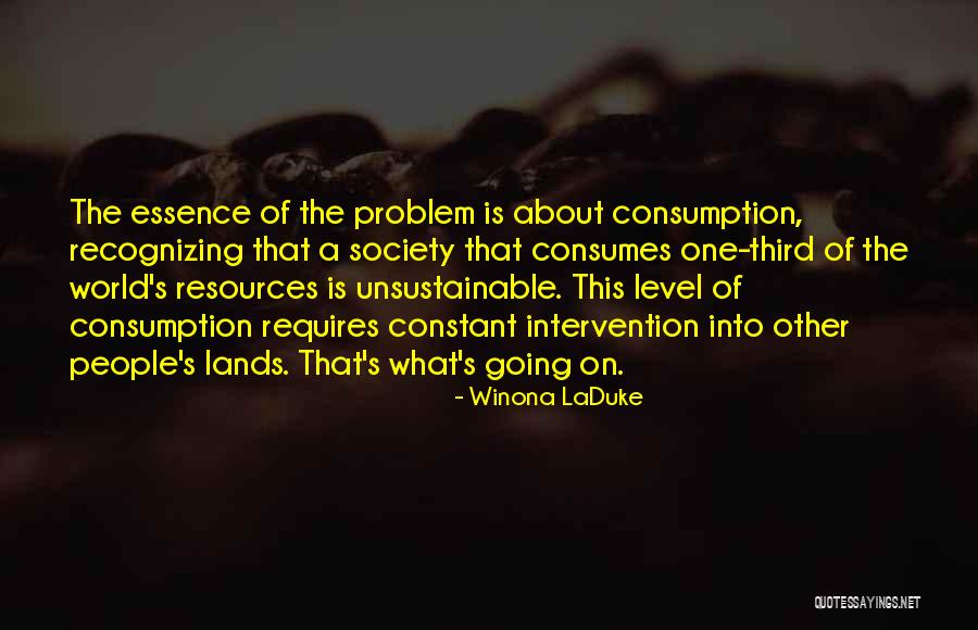 Winona LaDuke Quotes 1936333