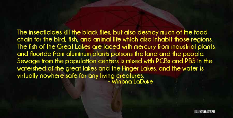 Winona LaDuke Quotes 676271 Winona LaDuke Quotes 676271
