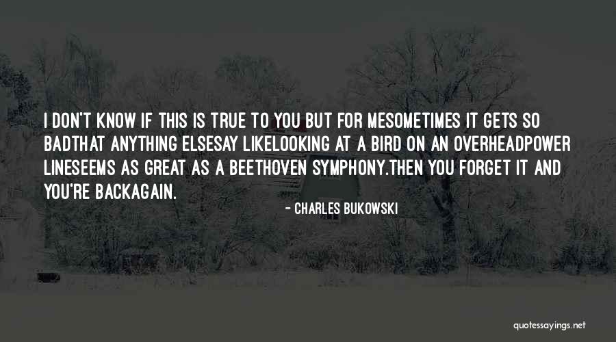 Winslowe Meeting Quotes By Charles Bukowski Winslowe Meeting Quotes By Charles Bukowski