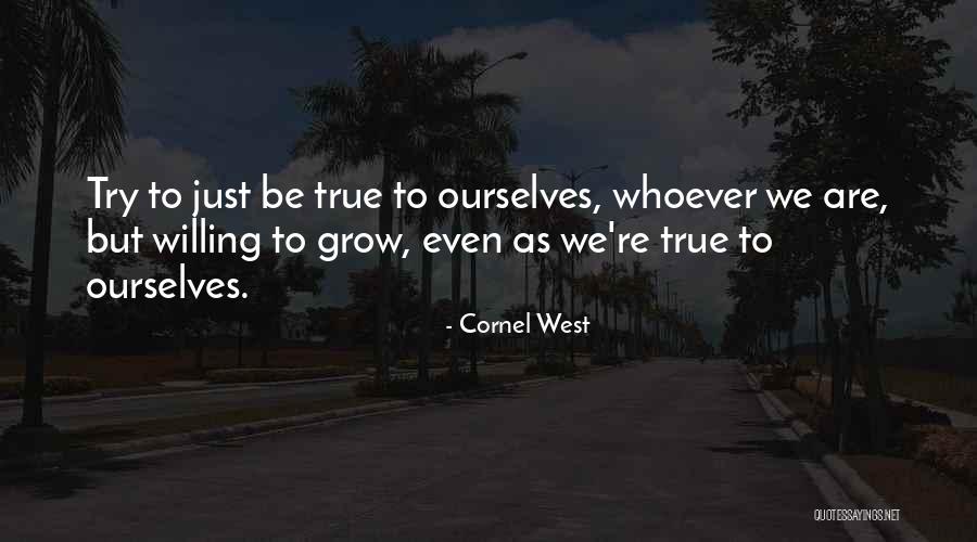 Winsol Groundworks Quotes By Cornel West Winsol Groundworks Quotes By Cornel West