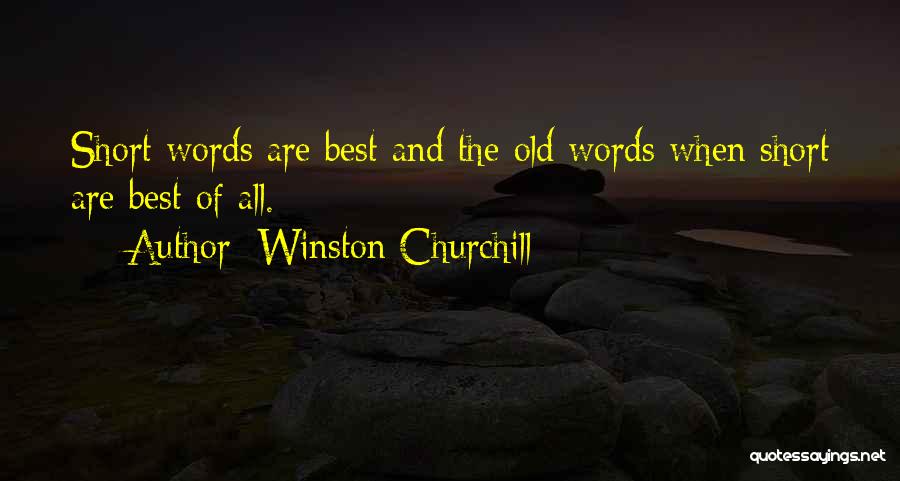 Winston Churchill Quotes 1748592