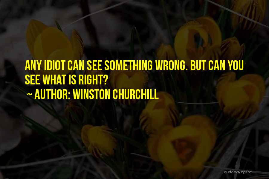 Winston Churchill Quotes 2009494