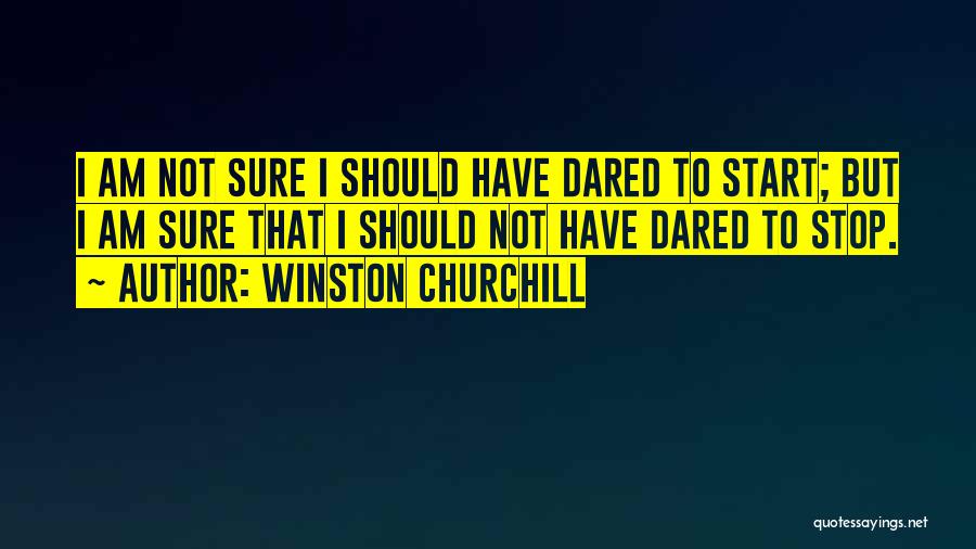 Winston Churchill Quotes 501482