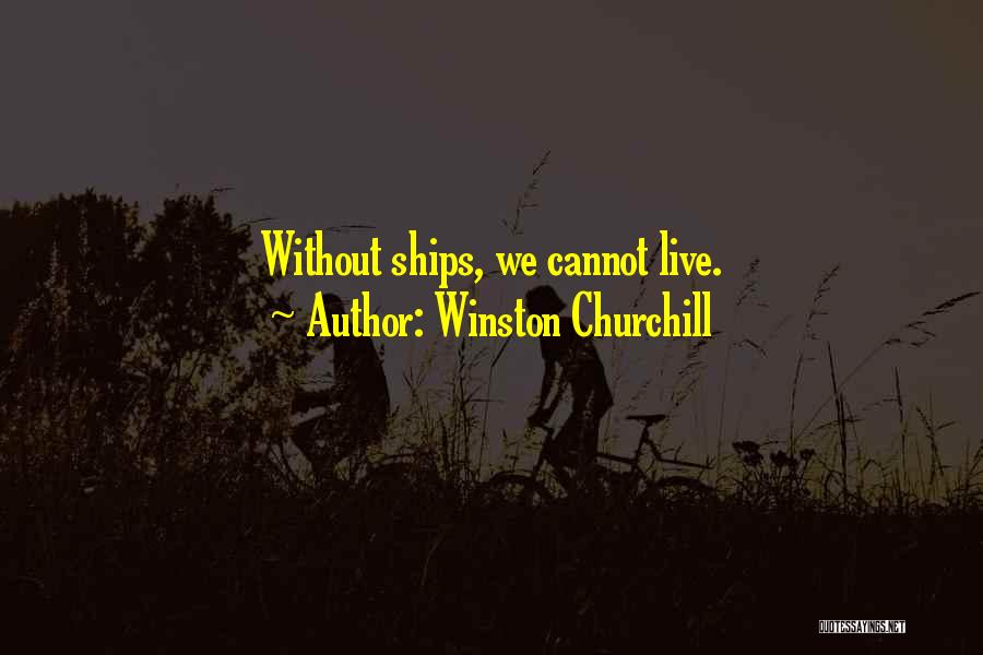 Winston Churchill Quotes 81446