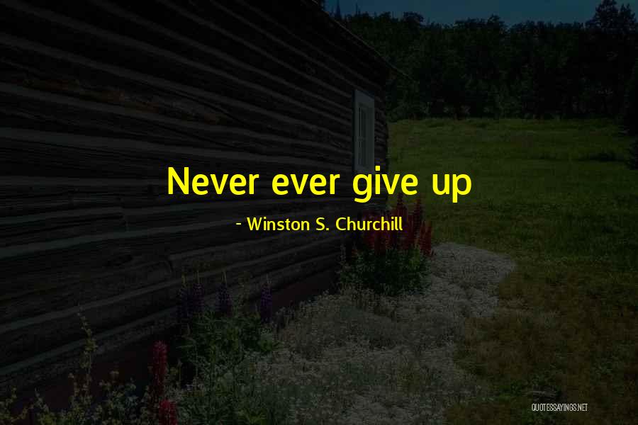 Winston S. Churchill Quotes 743832 Winston S. Churchill Quotes 743832