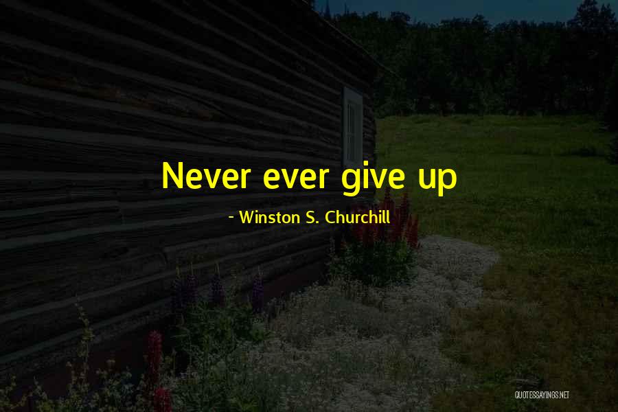 Winston S. Churchill Quotes 743832