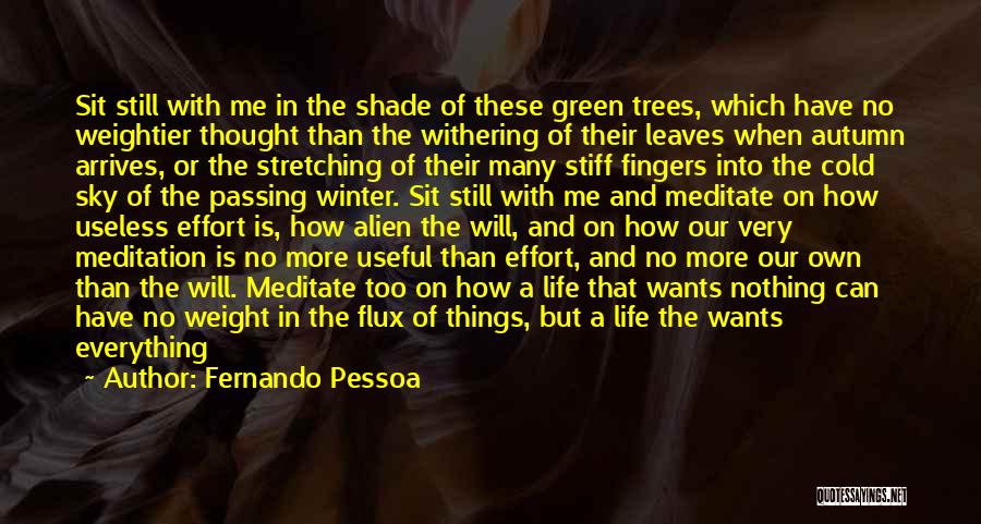 Winter And Autumn Quotes By Fernando Pessoa