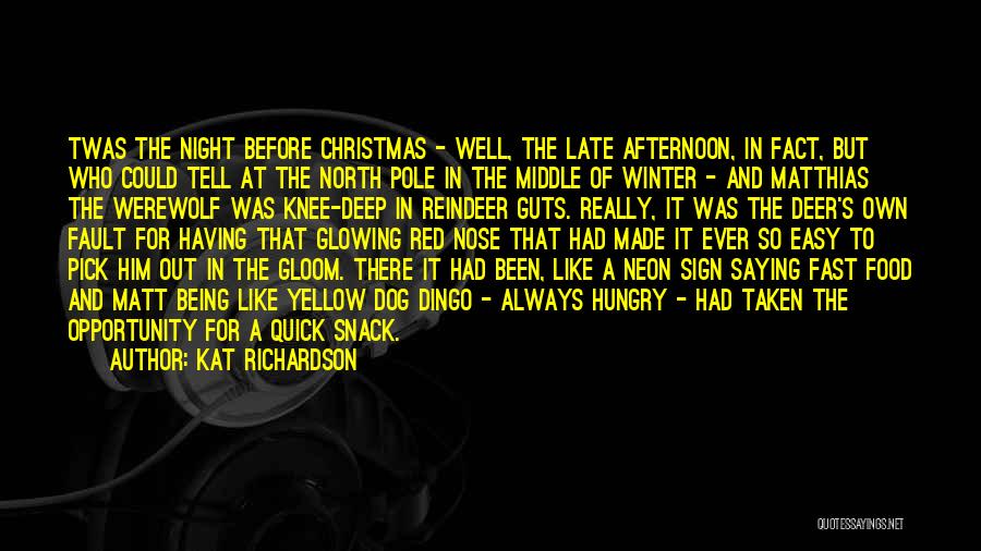 Winter And Christmas Quotes By Kat Richardson