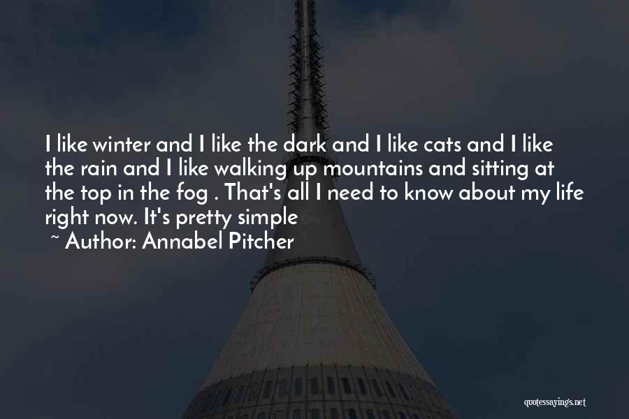 Winter And Rain Quotes By Annabel Pitcher