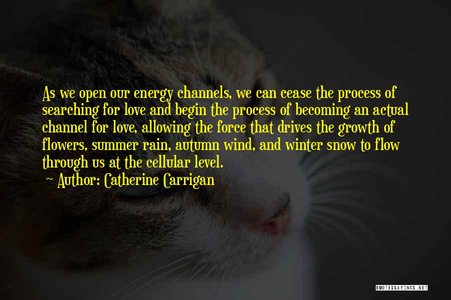 Winter And Rain Quotes By Catherine Carrigan