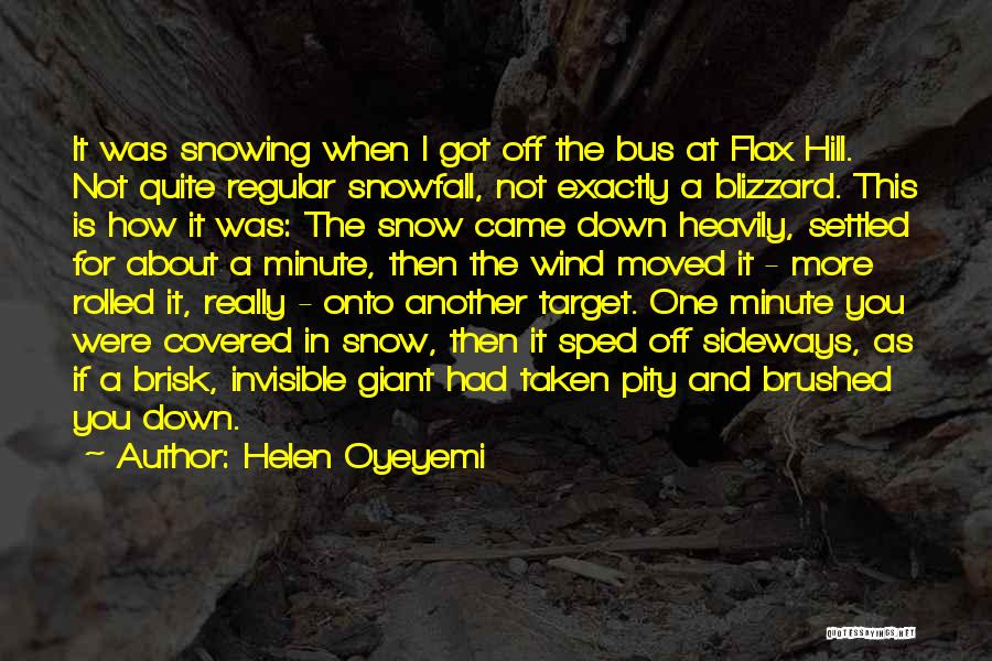Winter And Snow Quotes By Helen Oyeyemi