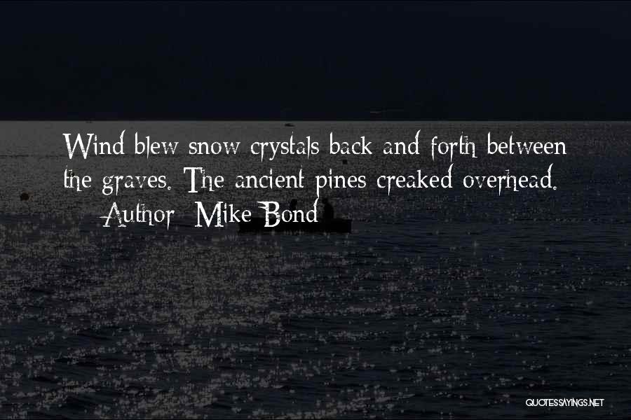 Winter And Snow Quotes By Mike Bond