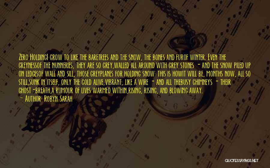 Winter And Snow Quotes By Robyn Sarah