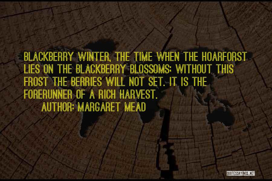 Winter Berries Quotes By Margaret Mead