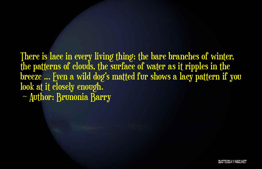 Winter Branches Quotes By Brunonia Barry