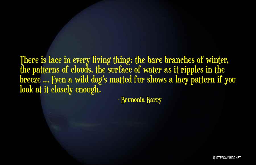 Winter Breeze Quotes By Brunonia Barry