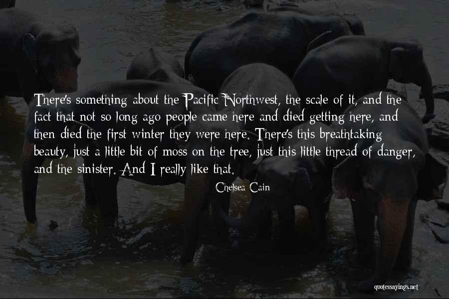 Winter Came Quotes By Chelsea Cain Winter Came Quotes By Chelsea Cain
