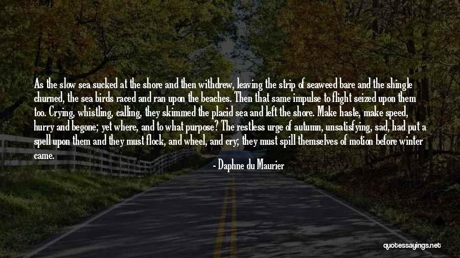 Winter Came Quotes By Daphne Du Maurier Winter Came Quotes By Daphne Du Maurier