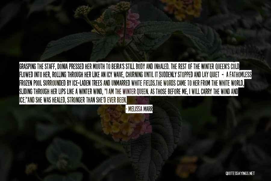 Winter Came Quotes By Melissa Marr Winter Came Quotes By Melissa Marr