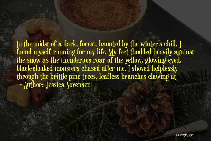 Winter Chill Quotes By Jessica Sorensen