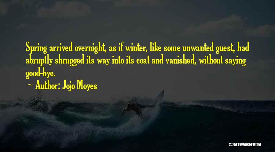 Winter Coat Quotes By Jojo Moyes