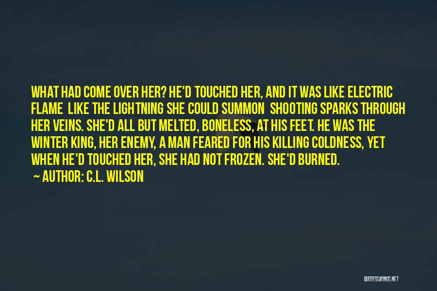 Winter Coldness Quotes By C.L. Wilson