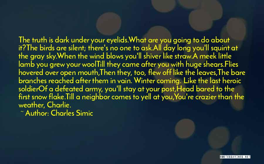 Winter Coming Quotes By Charles Simic