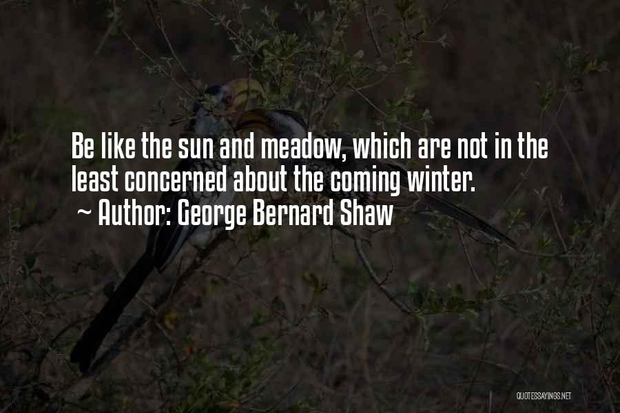 Winter Coming Quotes By George Bernard Shaw