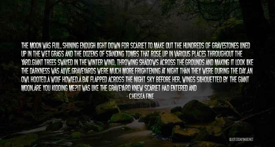 Winter Darkness Quotes By Chelsea Fine Winter Darkness Quotes By Chelsea Fine