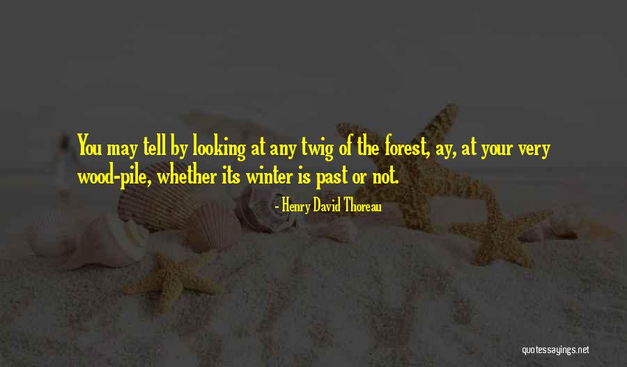 Winter Forest Quotes By Henry David Thoreau Winter Forest Quotes By Henry David Thoreau