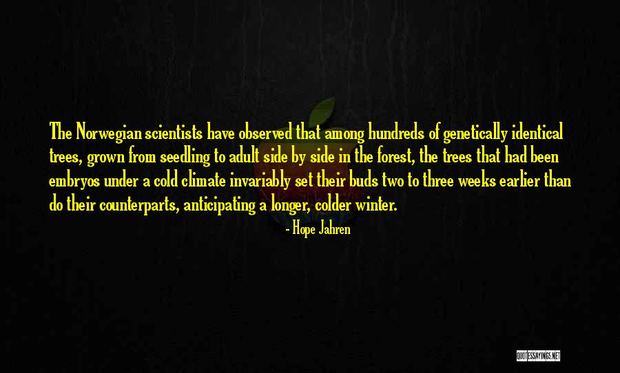 Winter Forest Quotes By Hope Jahren Winter Forest Quotes By Hope Jahren