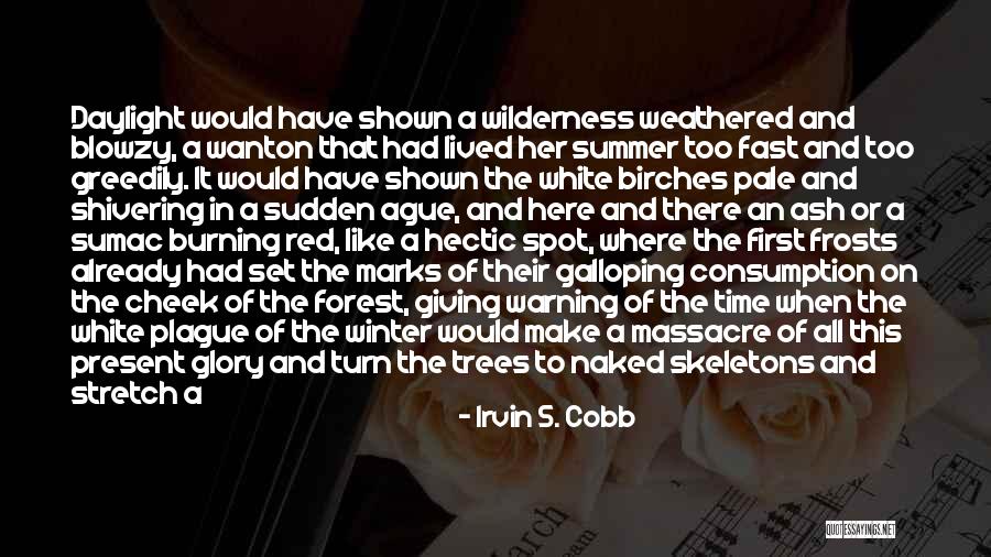 Winter Forest Quotes By Irvin S. Cobb Winter Forest Quotes By Irvin S. Cobb