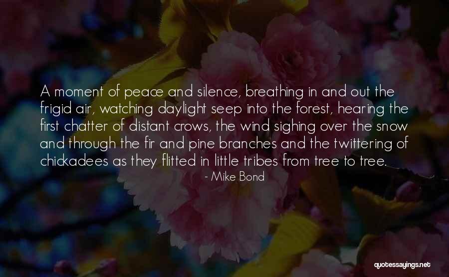 Winter Forest Quotes By Mike Bond Winter Forest Quotes By Mike Bond