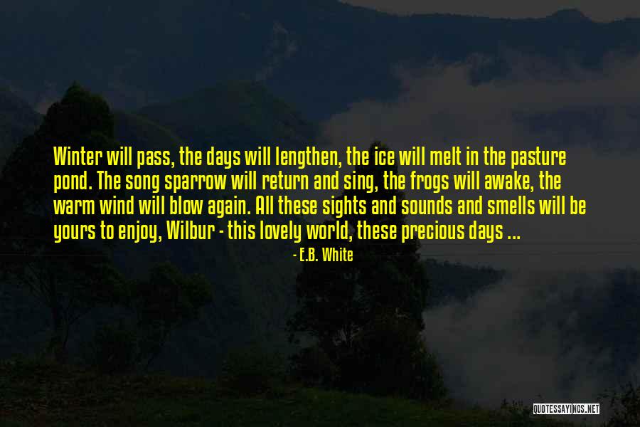 Winter Ice Quotes By E.B. White Winter Ice Quotes By E.B. White