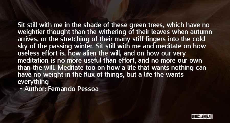 Winter Leaves Quotes By Fernando Pessoa