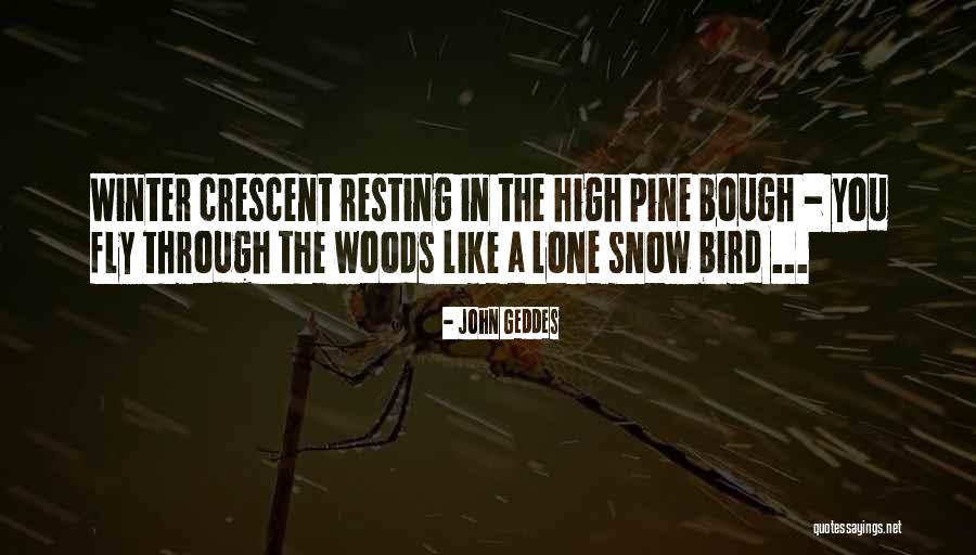 Winter Love Quotes By John Geddes Winter Love Quotes By John Geddes