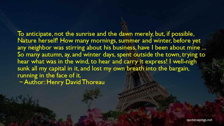 Winter Mornings Quotes By Henry David Thoreau