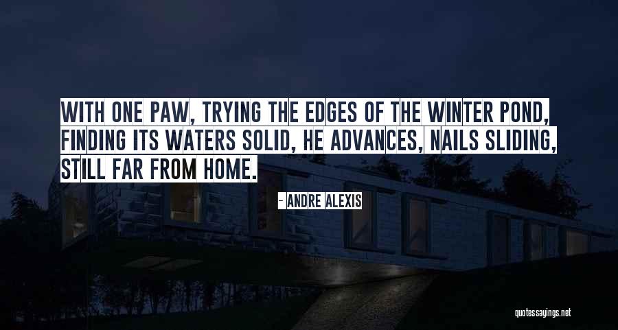 Winter Nails Quotes By Andre Alexis Winter Nails Quotes By Andre Alexis