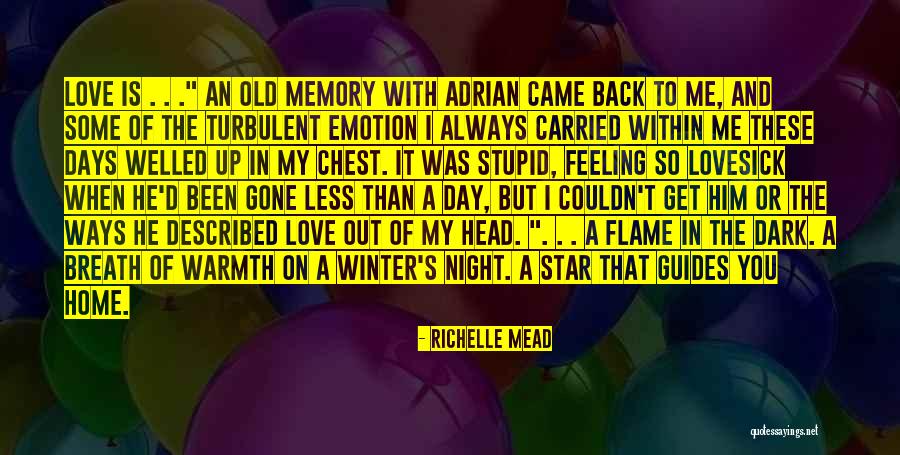 Winter Night Love Quotes By Richelle Mead