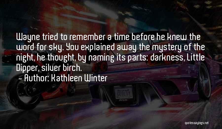 Winter Night Sky Quotes By Kathleen Winter