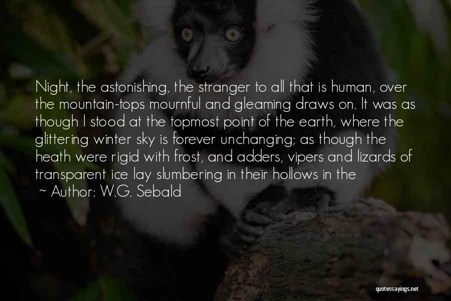 Winter Night Sky Quotes By W.G. Sebald