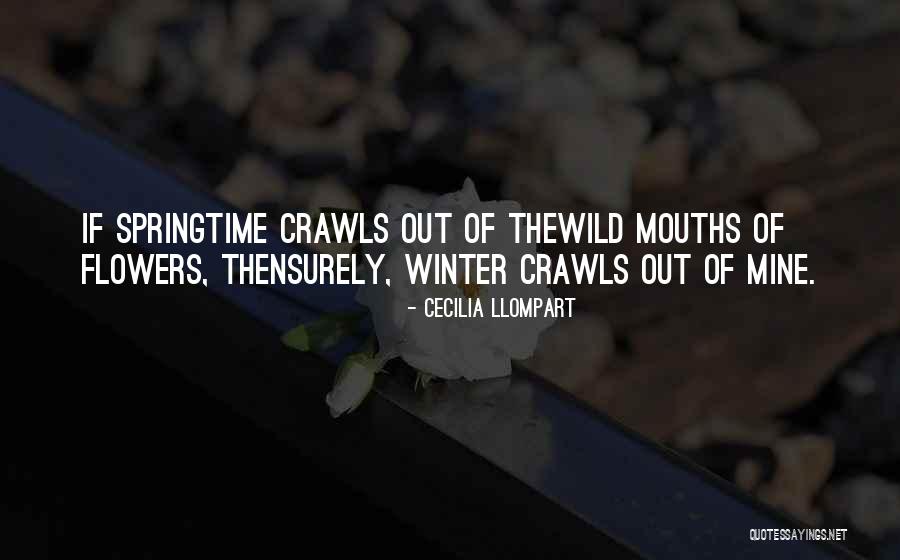 Winter Poetry Quotes By Cecilia Llompart Winter Poetry Quotes By Cecilia Llompart