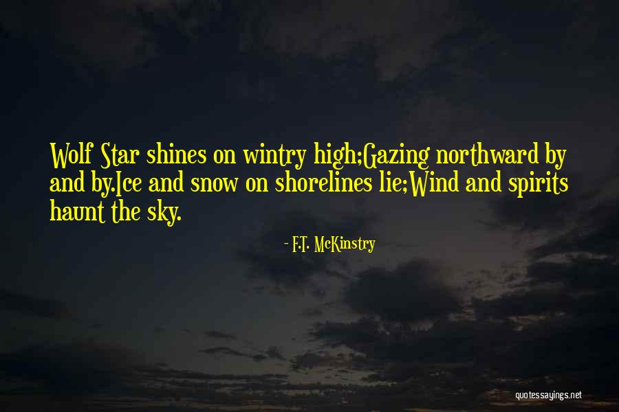 Winter Poetry Quotes By F.T. McKinstry Winter Poetry Quotes By F.T. McKinstry